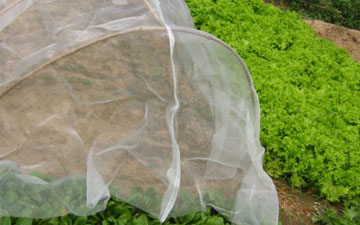 果树防虫网的应用范围