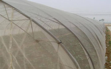 脐橙树防虫网多少钱一平方米