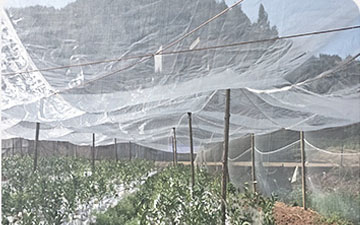 关于温室大棚防虫网价格大概是多少