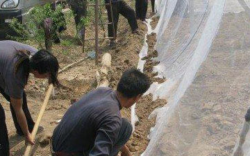 豆虫大棚养殖用纱网生产厂家