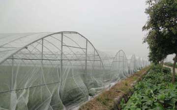 塑料防虫网供货厂家
