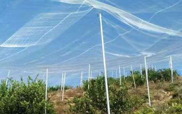 质量优果树防虫网厂家